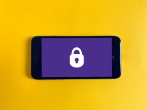 Restriction on the free movement of information society services from another Member State